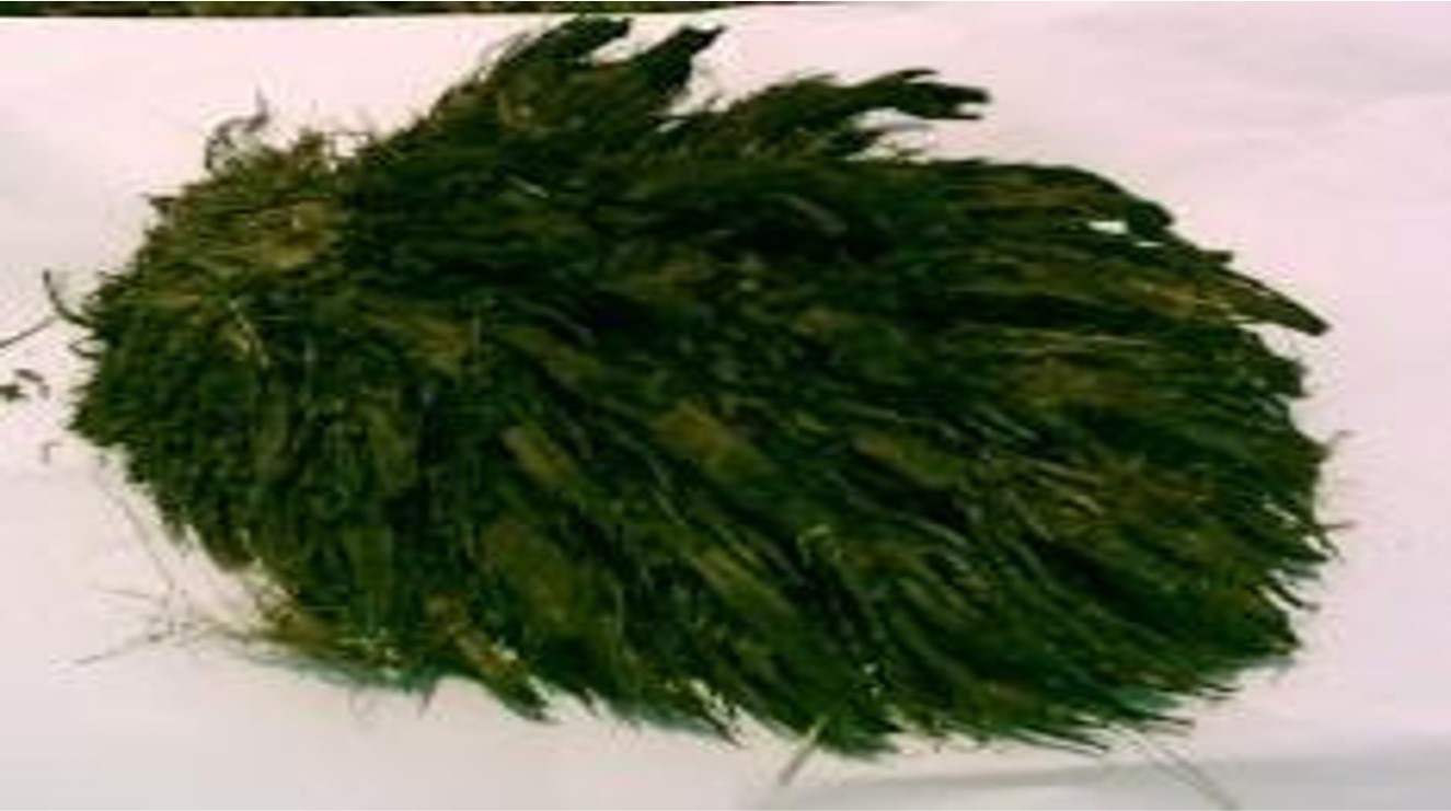 Locally sourced natural fibers for composite materials
